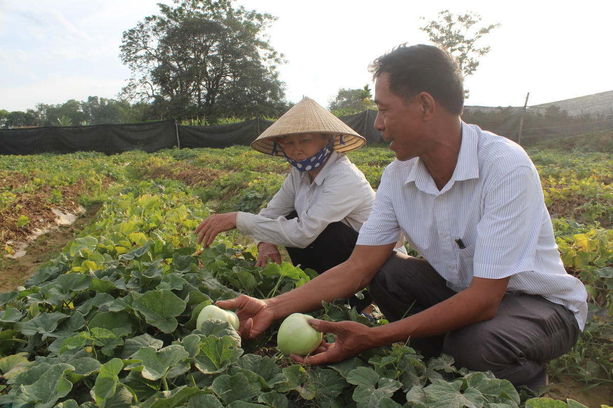 Ông Thiều Quang Hồng cùng bà con nông dân trên cánh đồng.