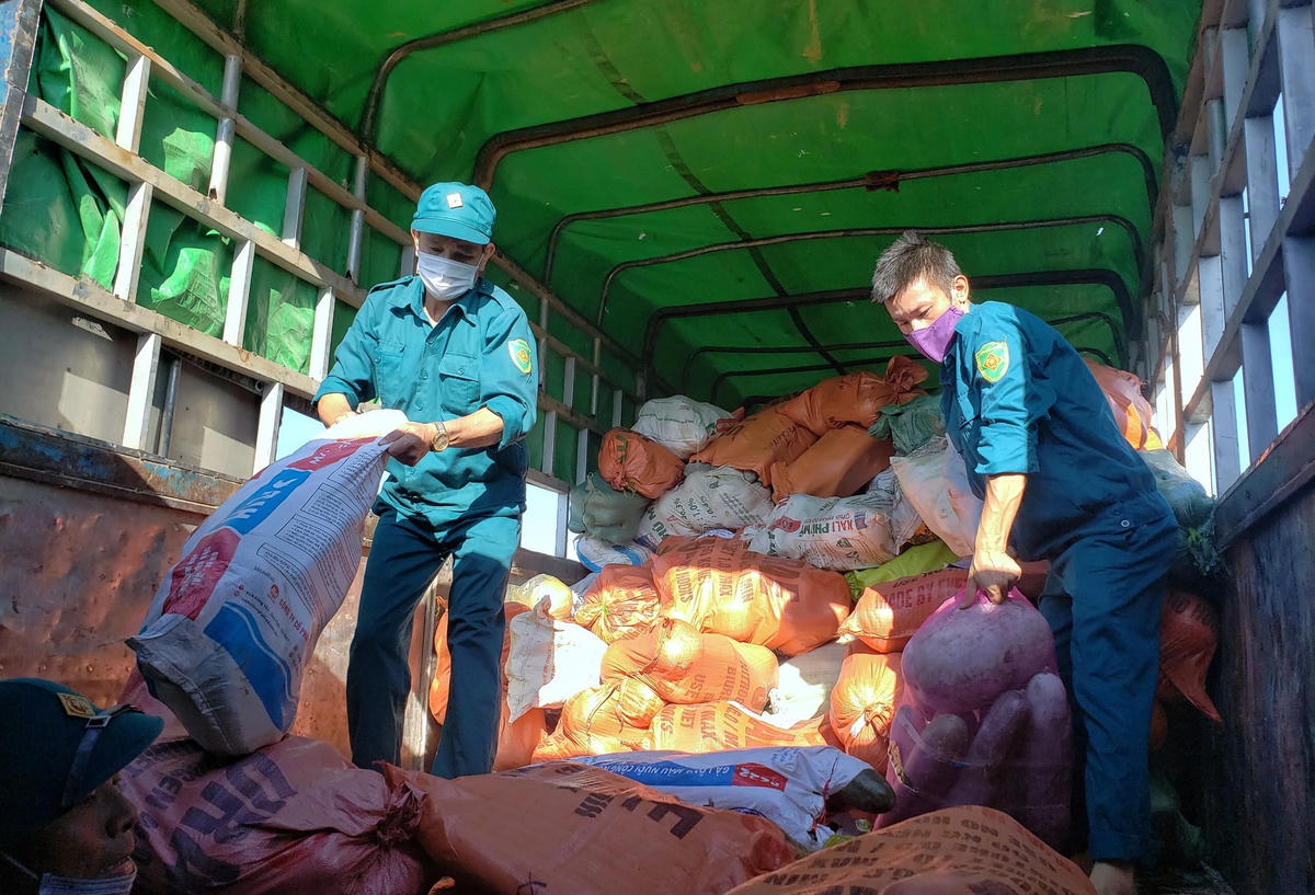 Hàng hóa được vận chuyển đến Cảng Cửa Lò gửi vào TP HCM. Ảnh: Bắc Vũ.