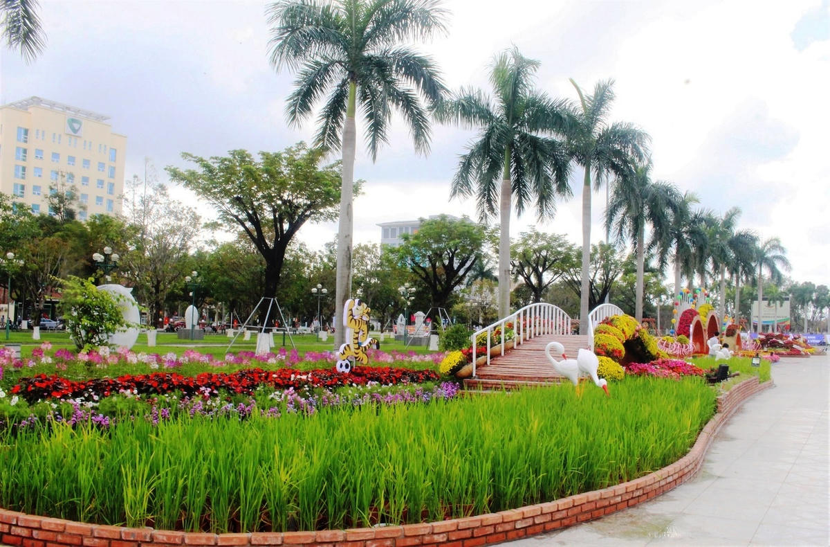 Những cánh đồng lúa được làm tiểu cảnh giữa lòng TP Tam Kỳ.