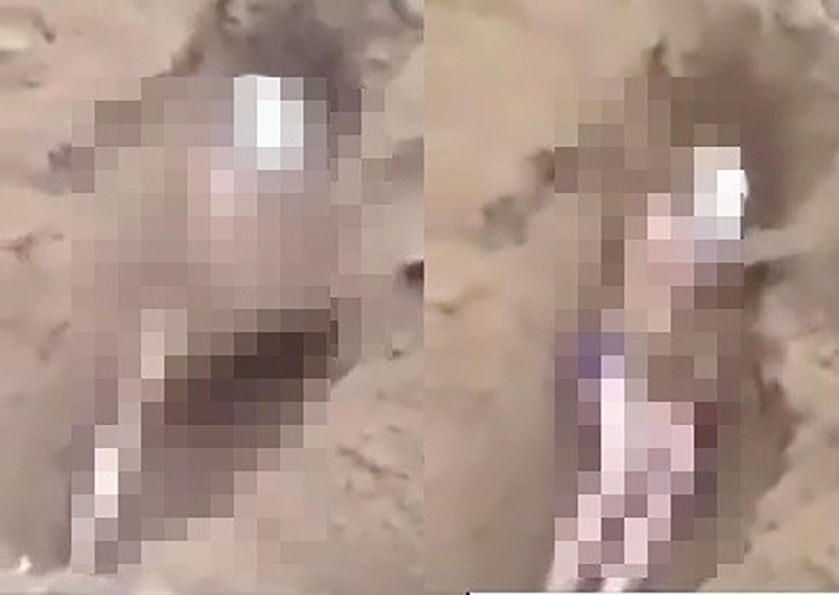 Nam thanh niên bị chôn sống như thời trung cổ. Ảnh cắt từ clip.