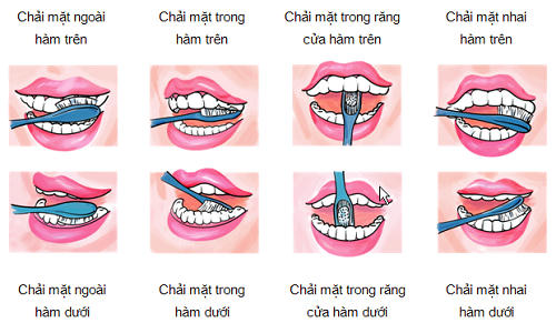 Làm thế nào để có hàm răng chắc khỏe?