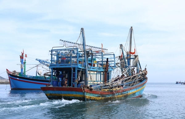 Ngư dân huyện Thuận Nam (Ninh Thuận) vươn khơi khai thác hải sản đầu năm mới.