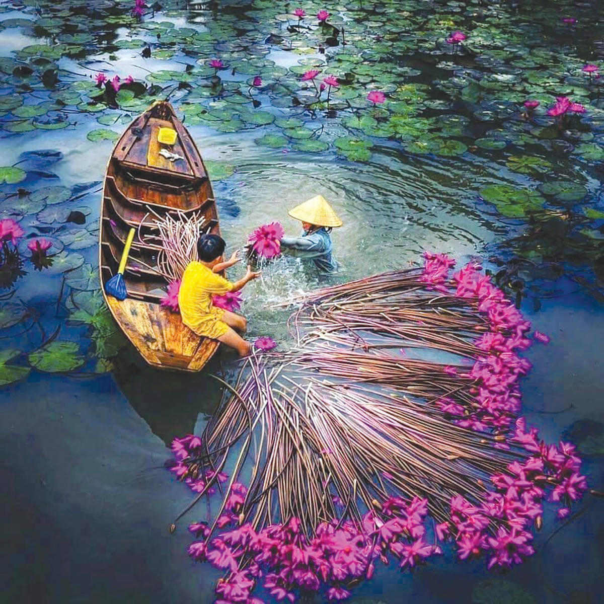 Mùa nước nổi không về