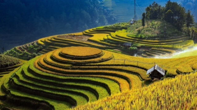 10 sự kiện nổi bật của tỉnh Yên Bái năm 2020