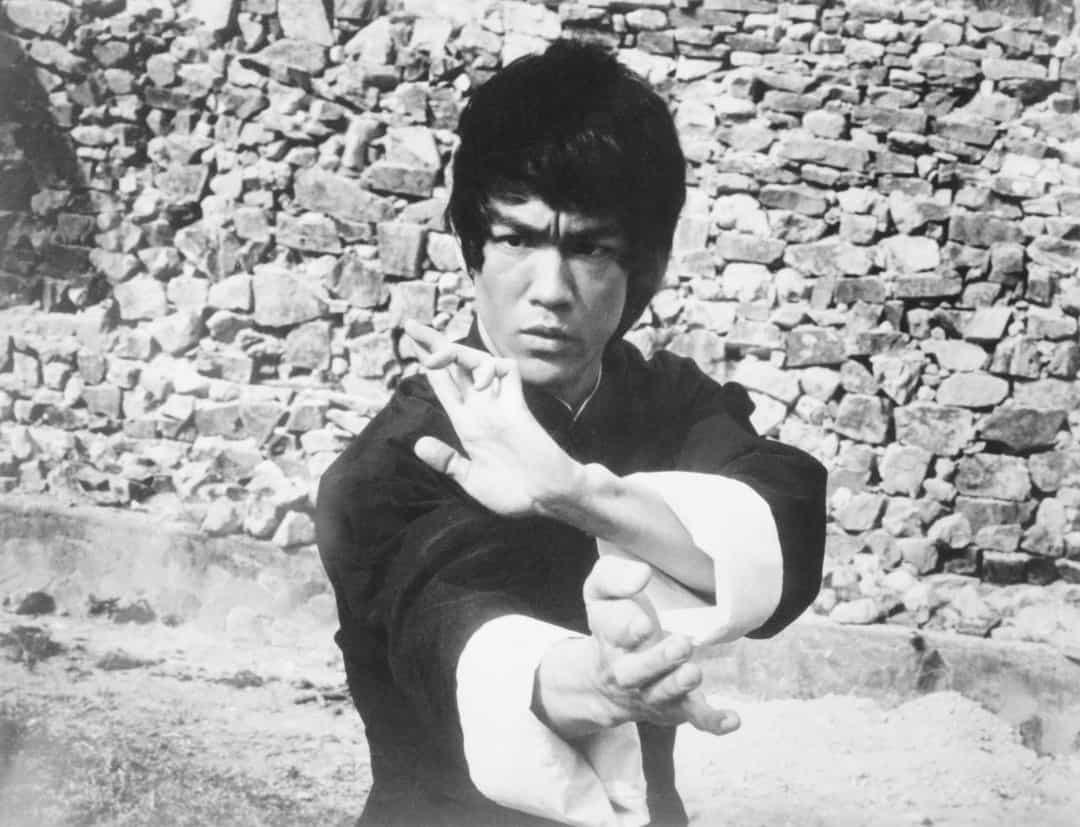 Bruce Lee thường được gọi là Lý Tiểu Long, bắt đầu tham gia diễn xuất từ khi còn trẻ, anh đã trở thành một võ sĩ trước khi theo đuổi sự nghiệp ở Hollywood. Lee đã mở trường dạy võ của riêng mình và gọi nó là Viện Jun Fan Gung Fu.  