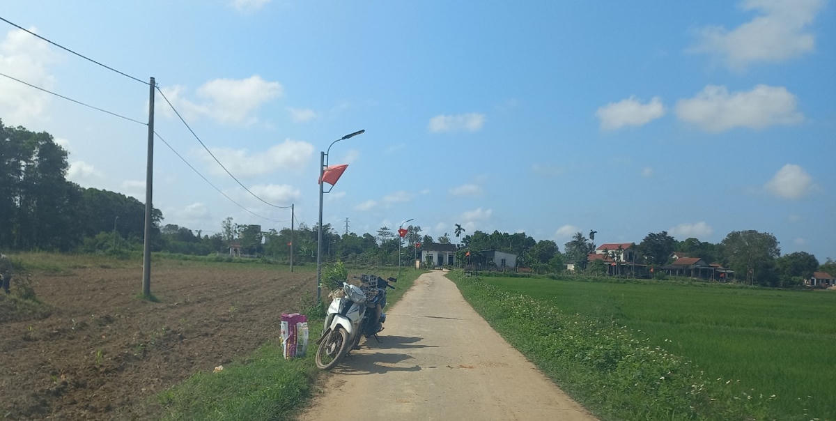 Từ quốc lộ 1A, người muốn vào các thửa đất phải băng qua những quãng đường khá ngoằn ngoèo và chỉ rộng ước chừng 3m.