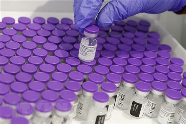 Vaccine phòng Covid-19 Pfizer-BioNtech. (Ảnh: AFP/TTXVN).