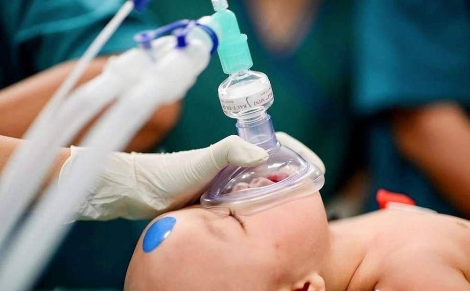 [ẢNH] Sự ấm áp từ những ánh mắt ‘thiên thần’