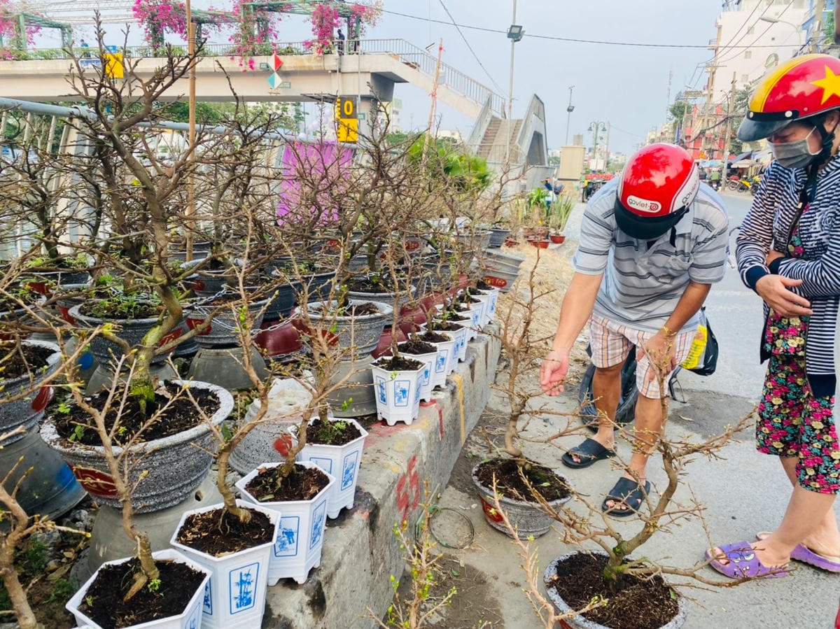 Trên bờ, người dân bắt đầu tới lựa cây kiểng Tết.