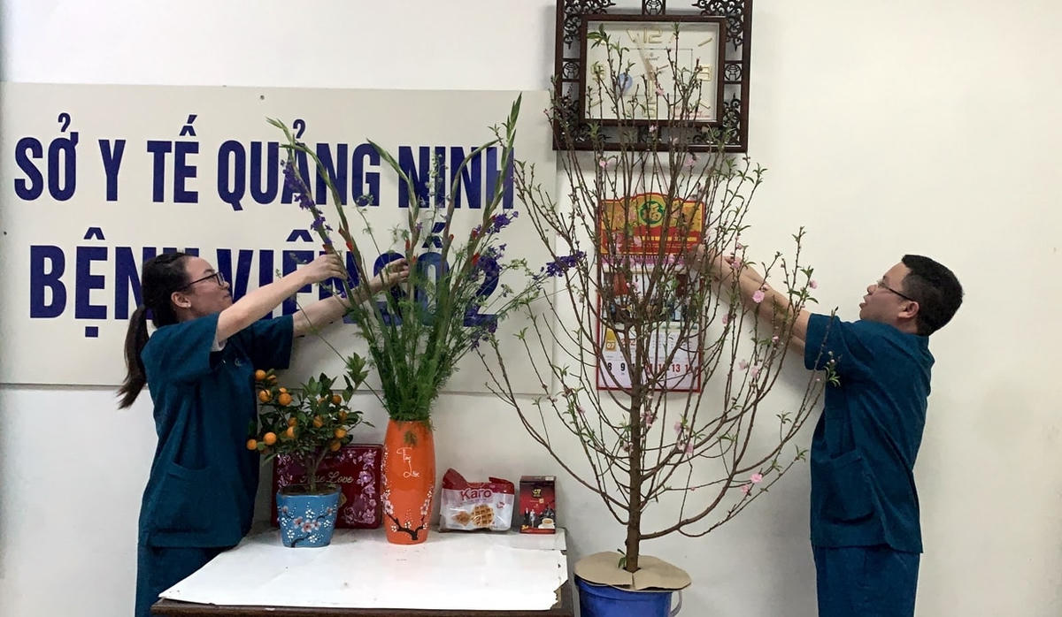 Những cành đào nhỏ được trang trí tại khu cách ly của Bệnh viện dã chiến số 2. Nguồn: Báo Quảng Ninh.