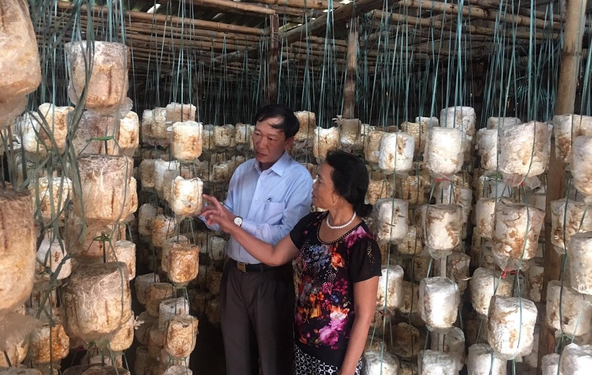 Hướng dẫn người dân kỹ thuật trồng nấm để vươn lên thoát nghèo.