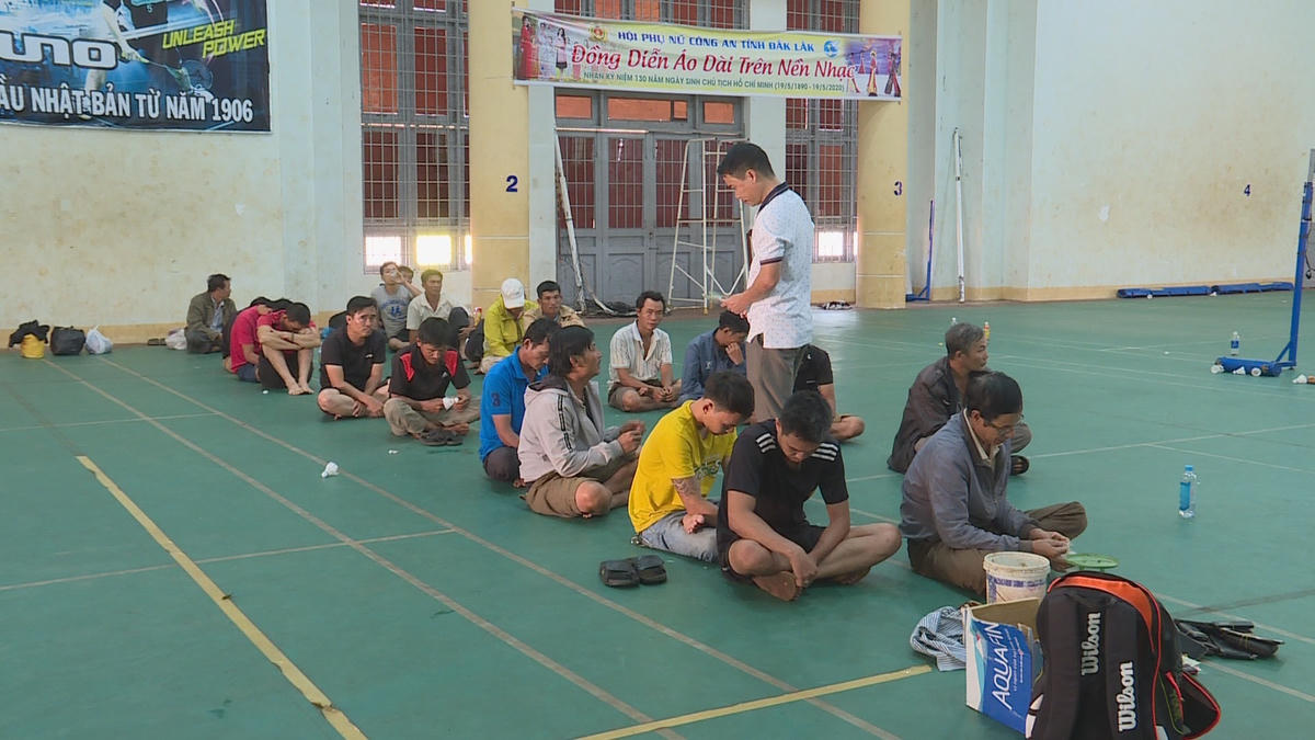 Hàng chục đối tượng tổ chức đá gà ăn tiền trong rẫy cà phê