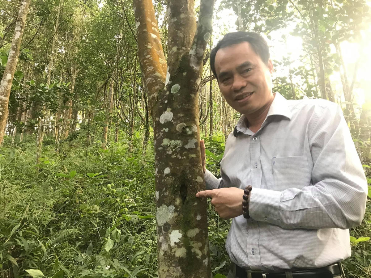 Chủ tịch Công ty Trầm Hương Khánh Hòa thăm rừng trầm. 