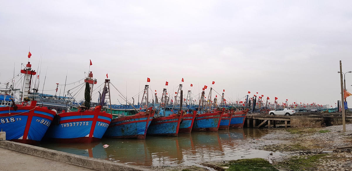 Các tàu thuyền của ngư dân Thanh Hóa vào nơi tránh trú bão an toàn.