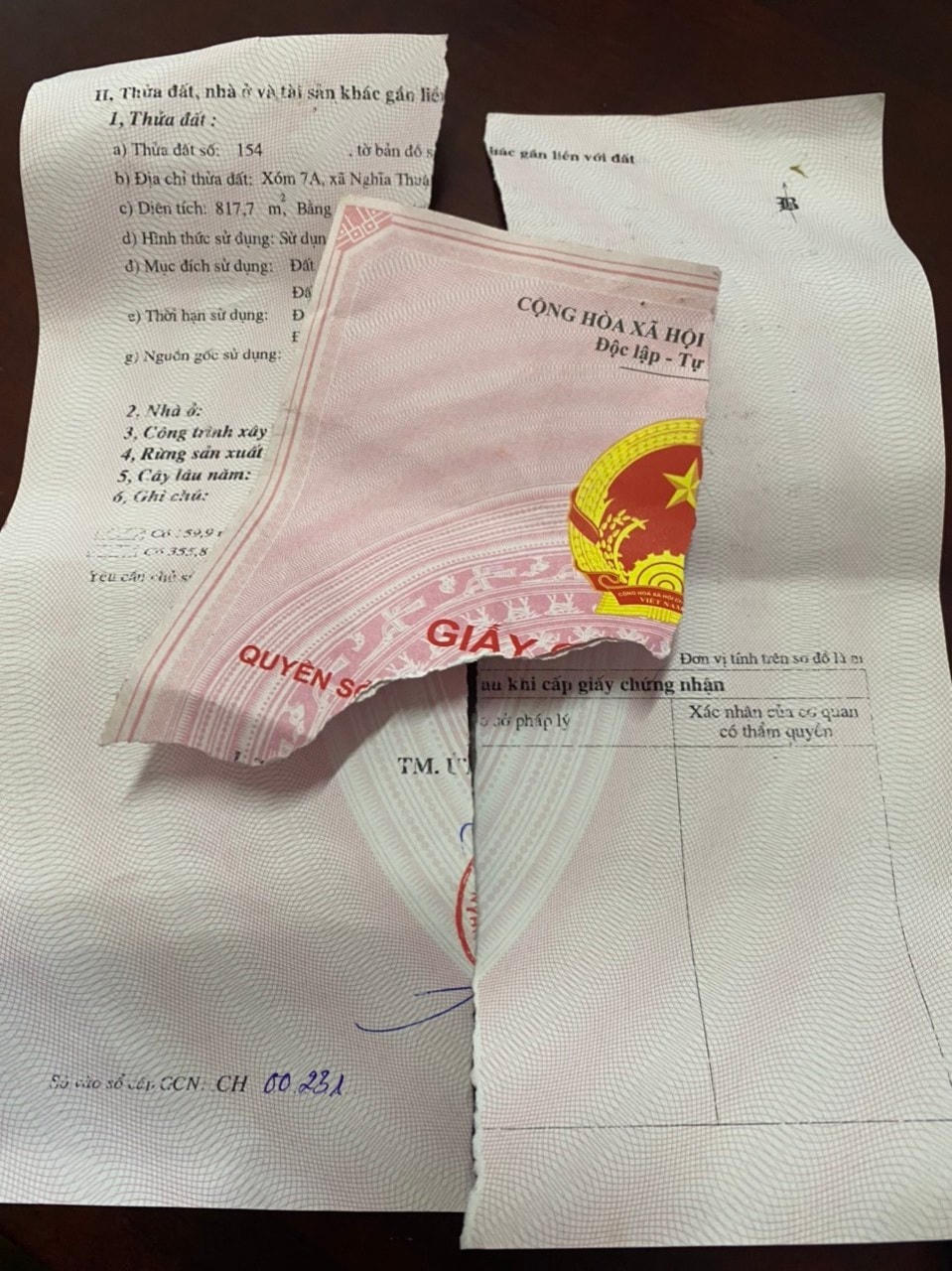Giấy chứng nhận quyền sử dụng đất (sổ đỏ) của bà Hóa bị rách.