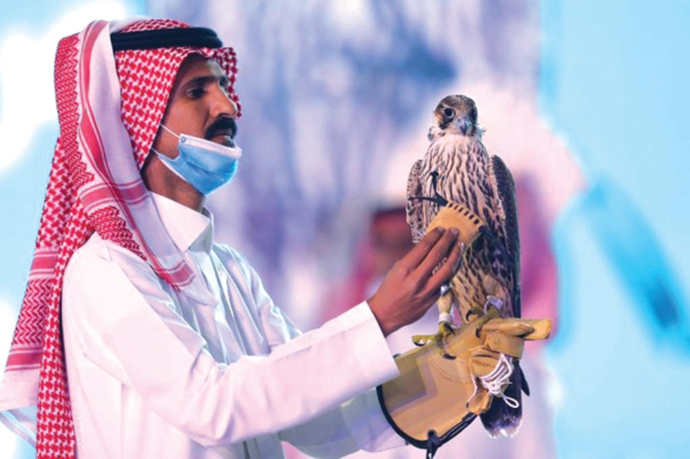 Con chim cắt tiền tỷ