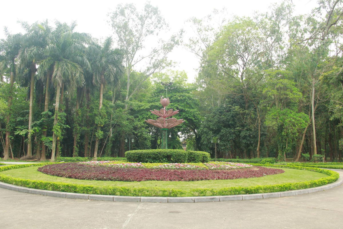 Phố đi bộ Thành cổ Sơn Tây sẵn sàng đón du khách
