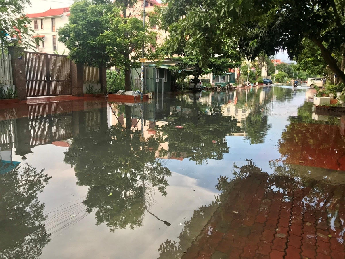 Triều cường khiến khu đô thị Cienco thuộc khu 5, khu 6 phường Yết Kiêu ngập trong nước mặn.