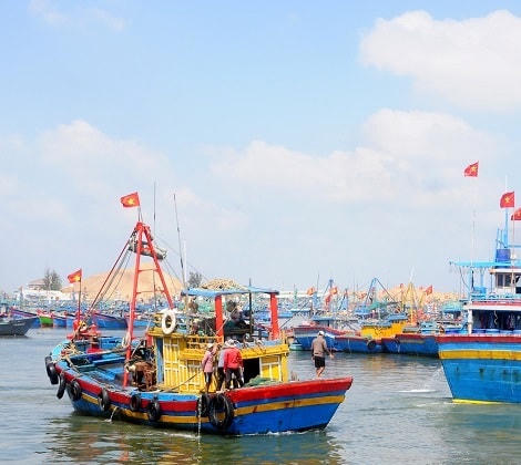 Các tàu cá đậu tại cảng cá Quy Nhơn (Bình Định) làm lễ xuất hành đầu năm.  