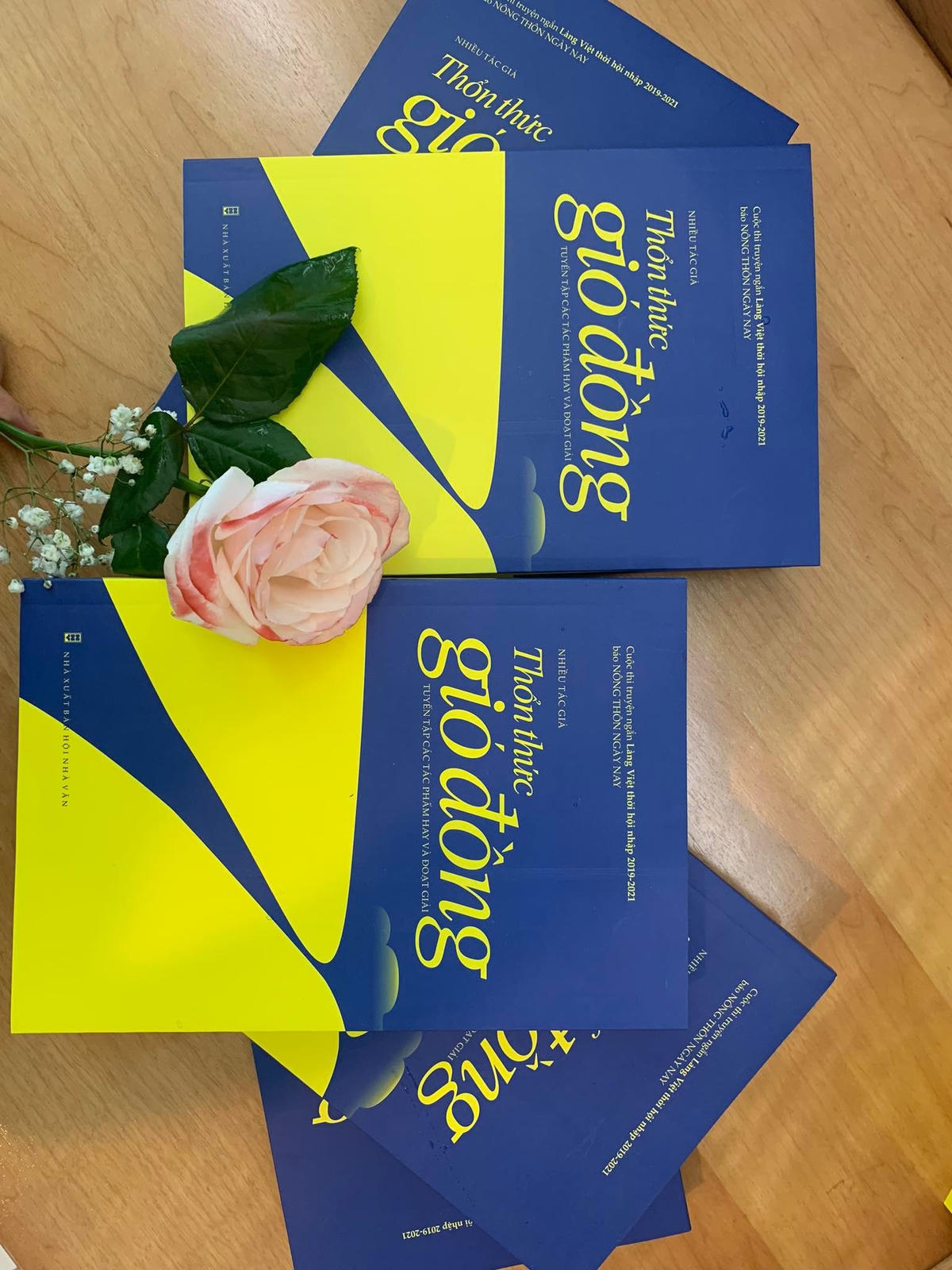 Tuyển tập truyện ngắn “Thổn thức gió đồng”.