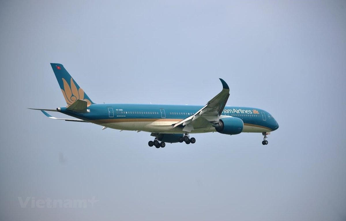 Máy bay của hãng hàng không Vietnam Airlines. (Ảnh: CTV/Vietnam+).