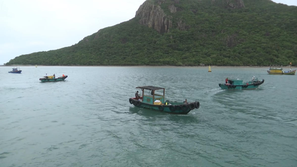 Các ghe, tàu, đò của các ngư dân.