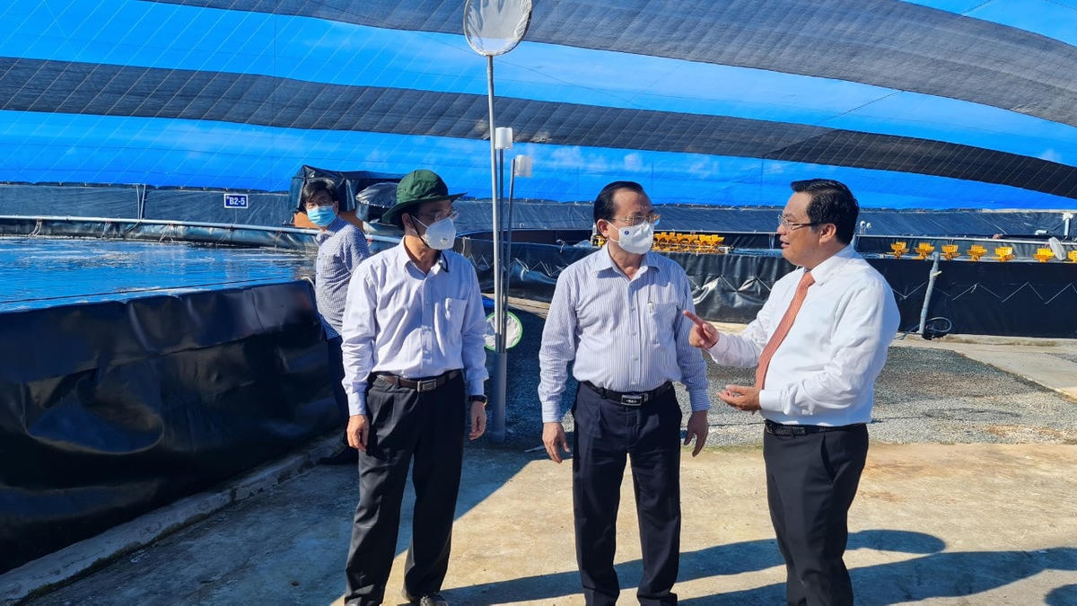 Hiện nay tỉnh Bạc Liêu có 23 công ty và 650 hộ dân tham gia nuôi tôm theo mô hình ứng dụng công nghệ cao với diện tích thả giống hơn 3.730 ha.