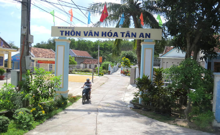 Khu dân cư nông thôn mới kiểu mẫu thôn Tân An (xã Xuân Sơn Nam, huyện Đồng Xuân, tỉnh Phú Yên).