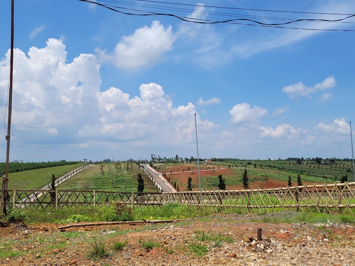 Một "dự án" phân lô bán nền trái phép ở xã Đam Bri, TP Bảo Lộc.