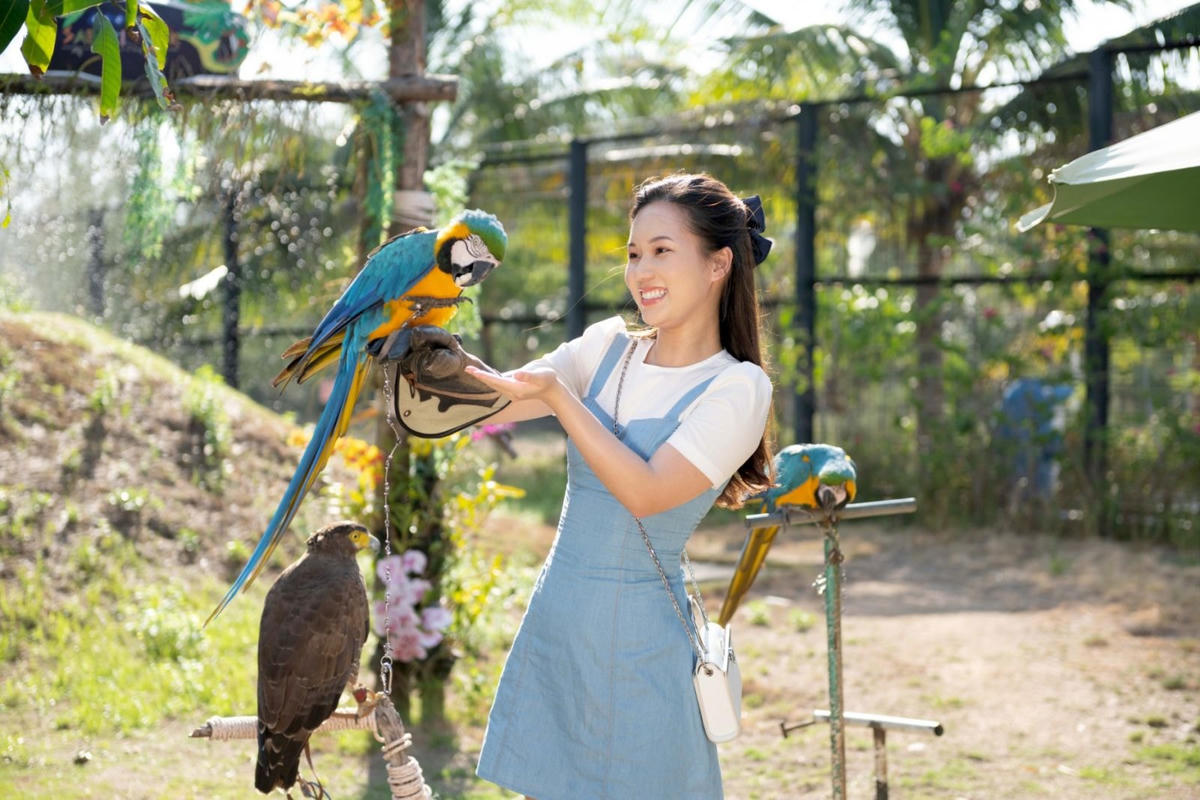Bình Định là một trong những điểm đến hấp dẫn được khách du lịch quan tâm.