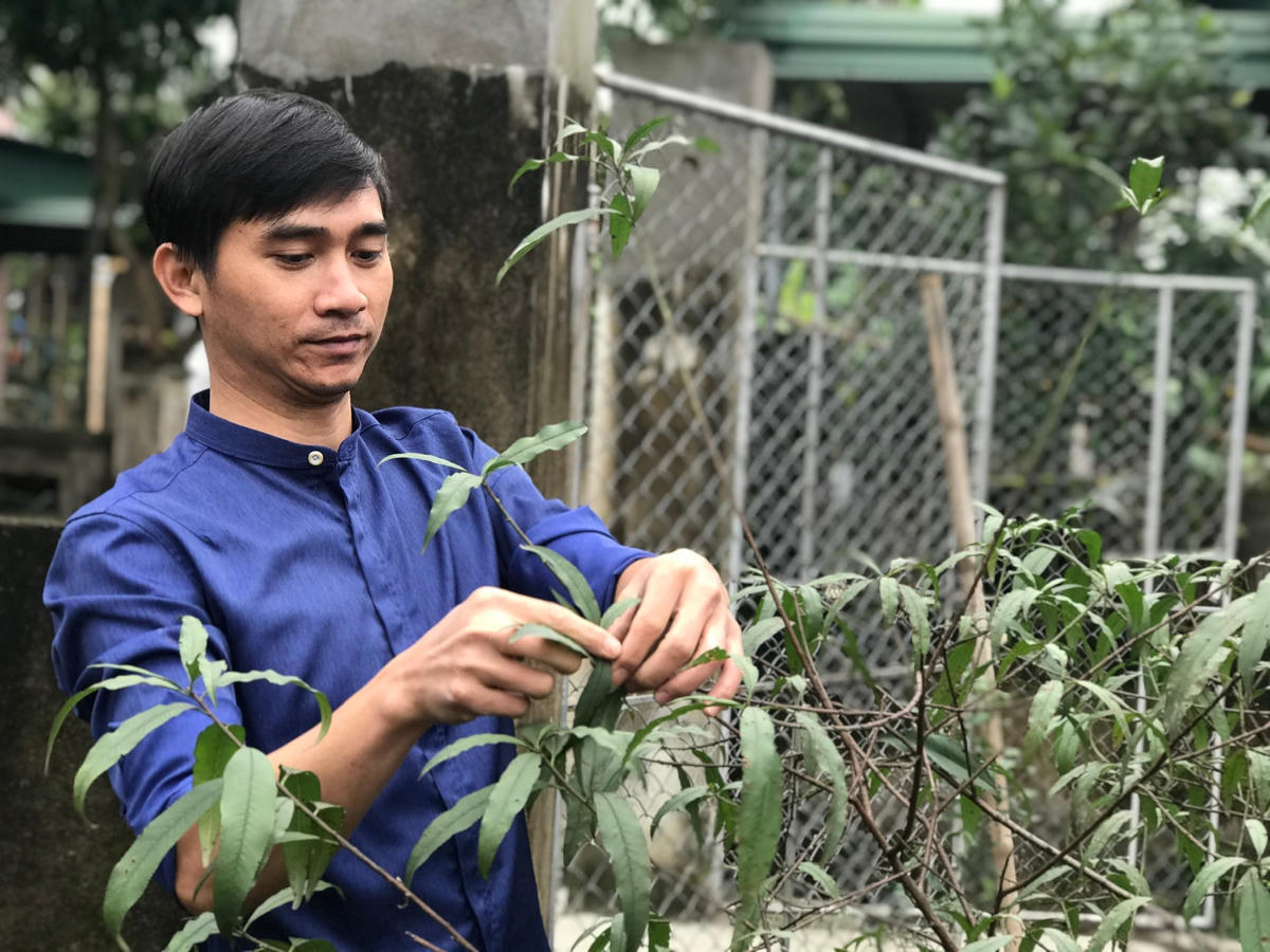 Người dân thành phố Hà Tĩnh chăm sóc cây cảnh chuẩn bị đón Tết.