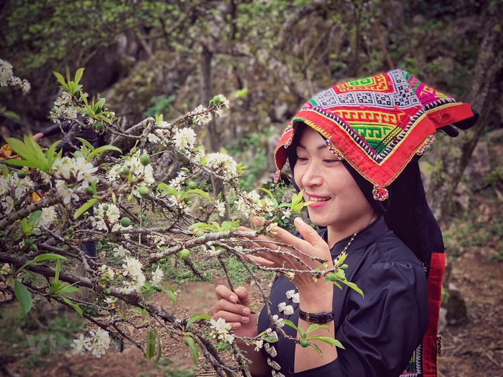 (Ảnh: Xuân Mai/Vietnam+).
