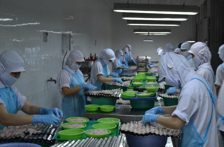 Nguồn vốn Agribank giúp thúc đẩy hoạt động chế biến xuất khẩu thủy sản.