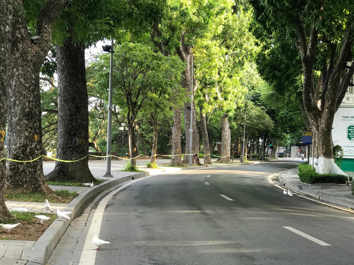 Trôi trong bóng phố