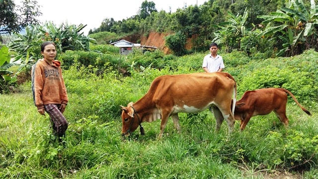 Diện mạo mới tại các phum, sóc ở Cà Mau.