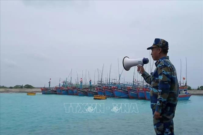 Ảnh minh họa. Nguồn: TTXVN.