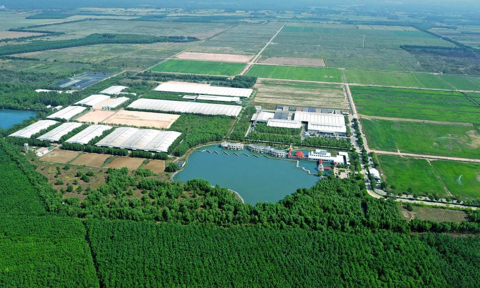 Toàn cảnh Trang Trại Sinh Thái Vinamilk Green Farm Tây Ninh với 9 hồ nước điều hoà khí hậu, làm mát cho cả khu vực, tạo ra không gian mát mẻ ngay cả trong mùa nắng nóng cao điểm.