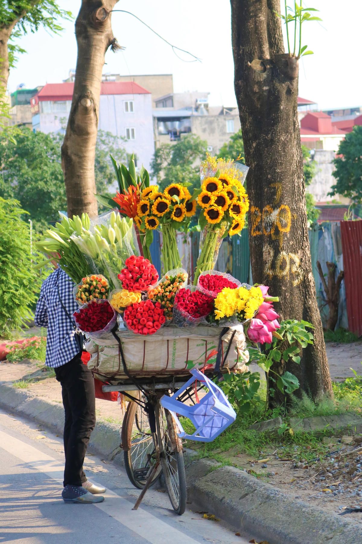Giữa đại dịch, những chiếc xe đạp chở đầy hoa như tô điểm thêm sắc màu cho phố phường Hà Nội.