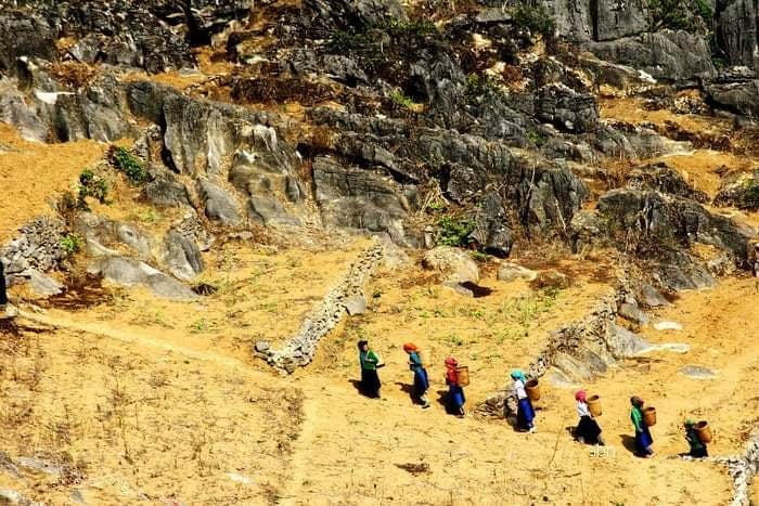 Cao nguyên đá. Ảnh minh họa: HHL.