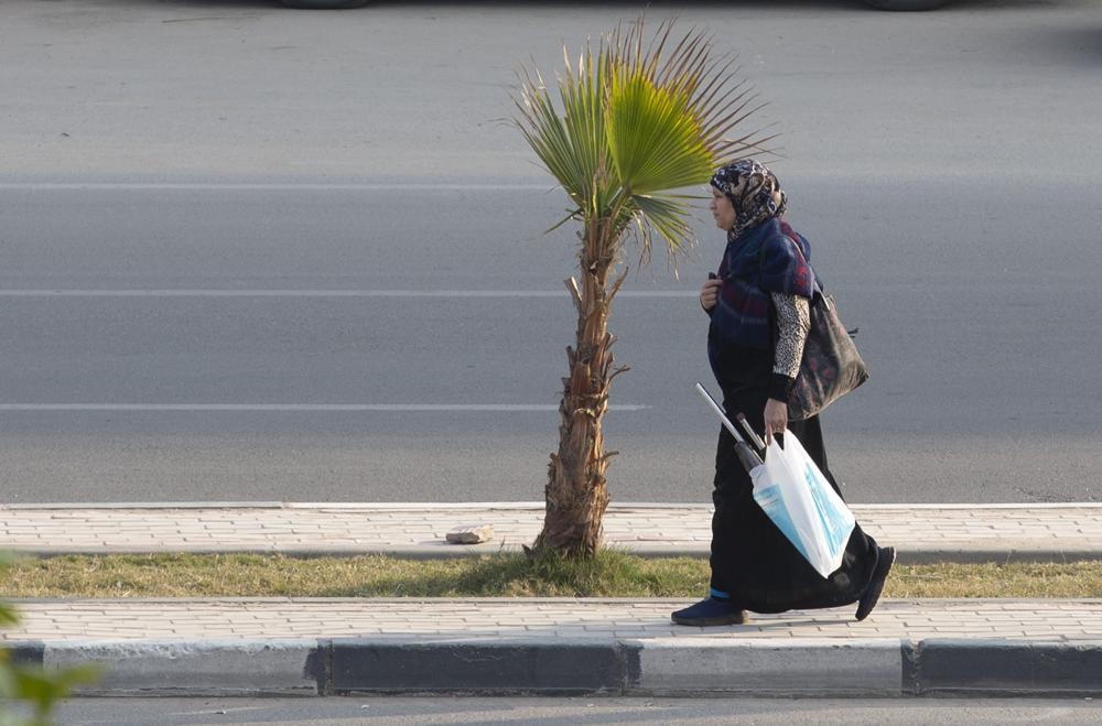 Một cái cây mới trồng gần đây trên một vỉa hè hẹp, thay thế một khu vườn khổng lồ ở Heliopolis, Cairo, Ai Cập. Ảnh: AP.