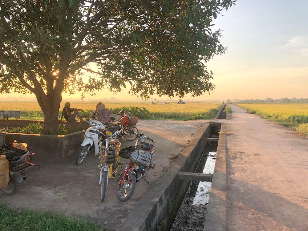 Hình ảnh bình yên mà rất đỗi quen thuộc, gốc đa đầu làng luôn là điểm dừng chân, chỗ nghỉ cho người dân sau mỗi ngày đi làm đồng vất vả, cũng là nơi lũ trẻ trong làng thường hay tụ tập, nô đùa thỏa thích,...