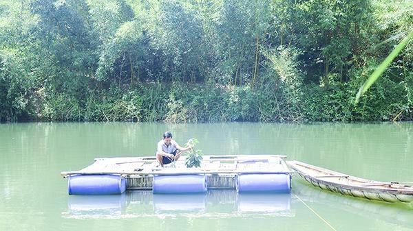 Một mô hình nuôi cá lồng trên sông Lai Phước (Đông Hà, Quảng Trị).