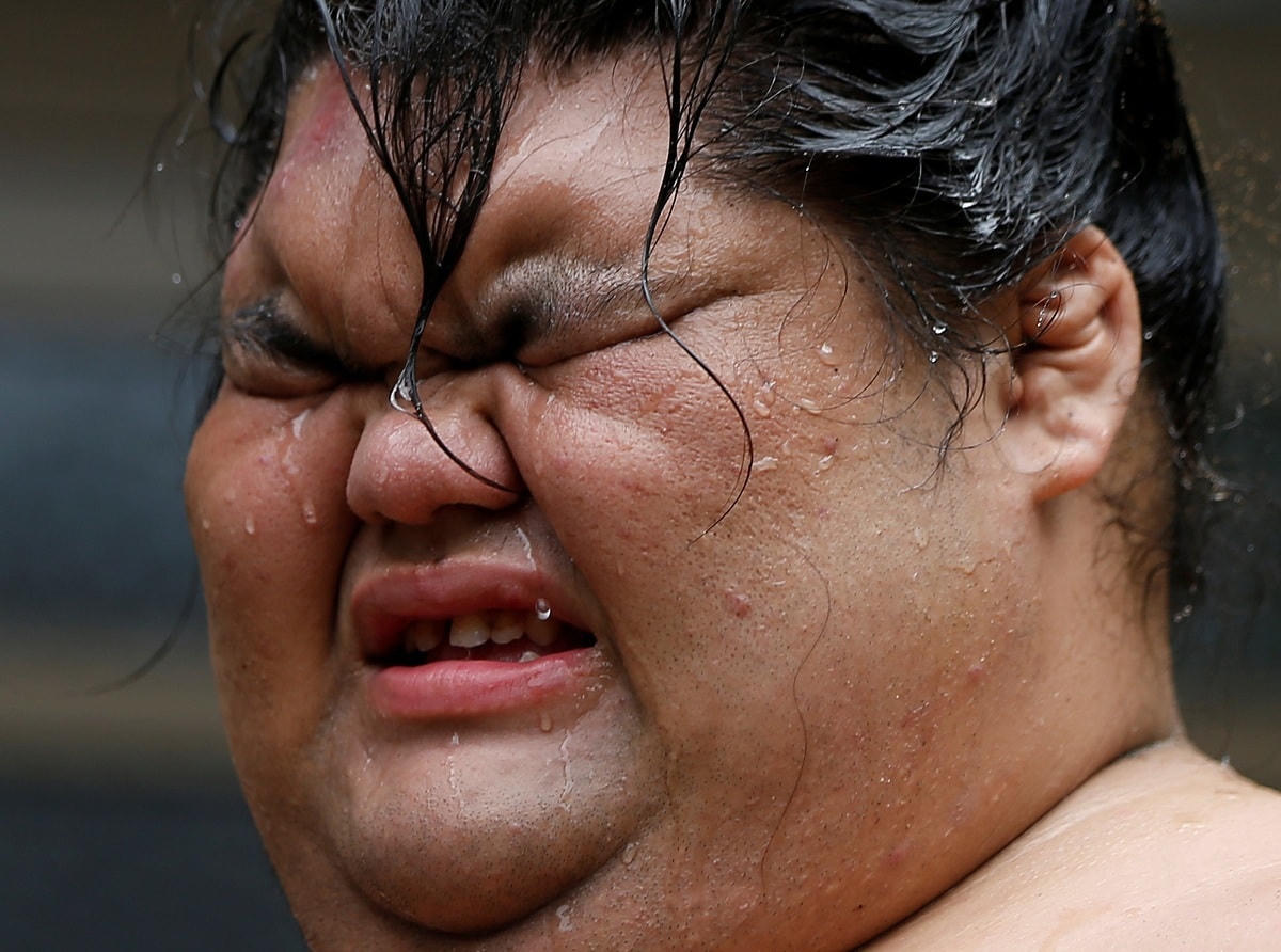 Sumo và Ninja trong văn hóa Nhật Bản