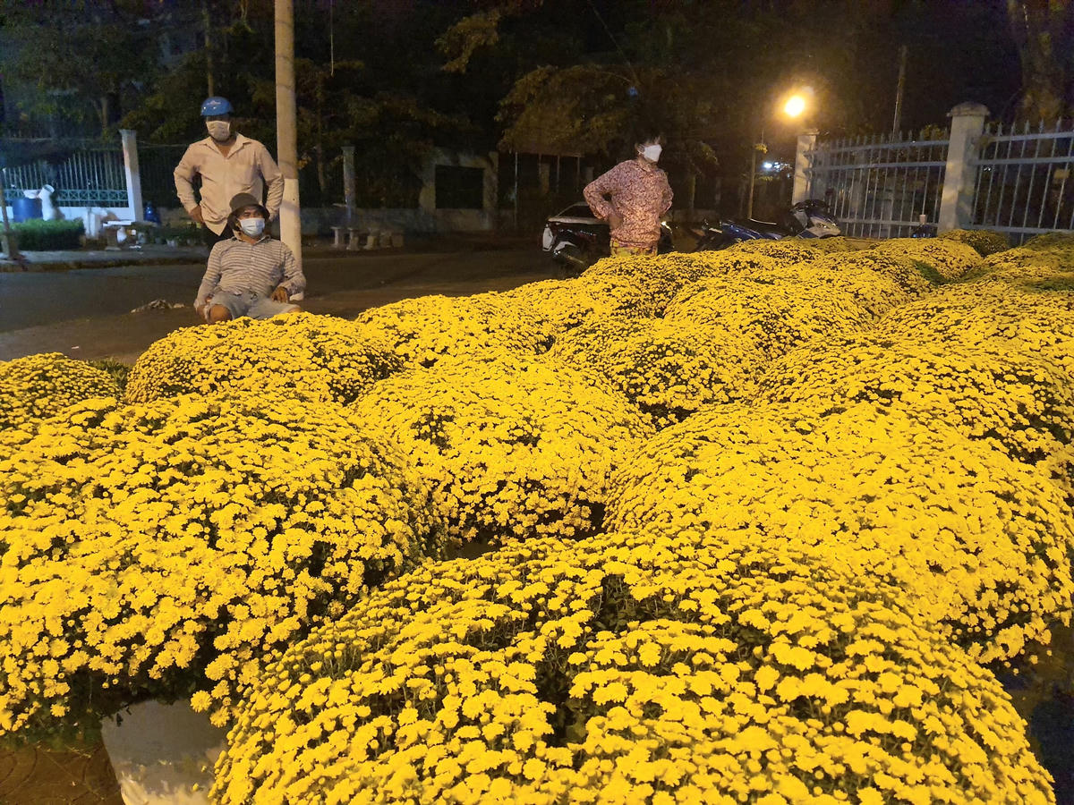 Nhiều tiểu thương lo lắng vì tới thời điểm này có rất ít người mua hoa, kiểng trưng Tết, sức mua giảm hẳn so với mọi năm.