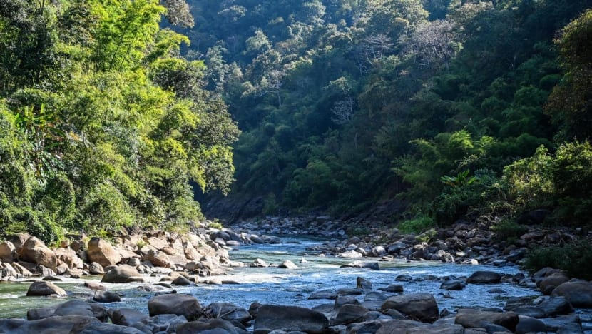 Sông Yuam chảy kết nối với sông Salween ở nước láng giềng Myanmar. Ảnh: CNA.