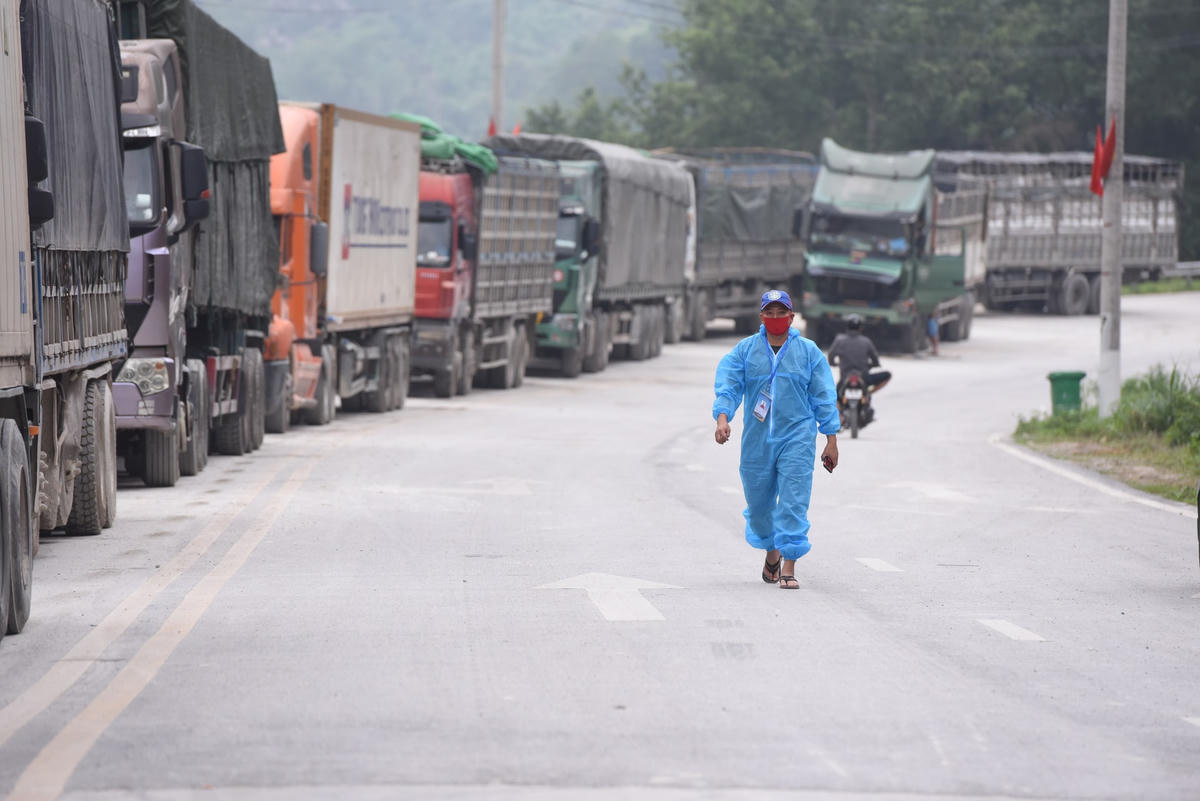 Yếu về khâu chế biến sau thu hoạch, nắm bắt thông tin thị trường kém… là những nguyên nhân dẫn đến thực trạng ùn ứ nông sản.       Ảnh: Quang Vinh