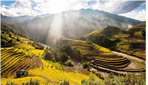 Mường Lò sở hữu những khung cảnh đẹp như tranh vẽ.