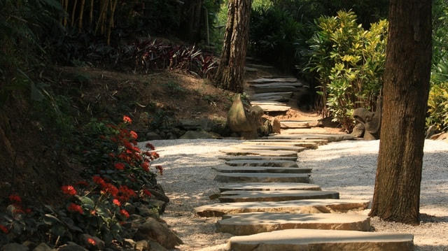 Đến chùa Địa Tạng ngoài vãn cảnh hành hương du khách còn có thể trải nghiệm leo núi, từ phía bên phải của chùa Địa Tạng chiêm ngưỡng những hang đá cùng thảm thực vật xanh tốt.  