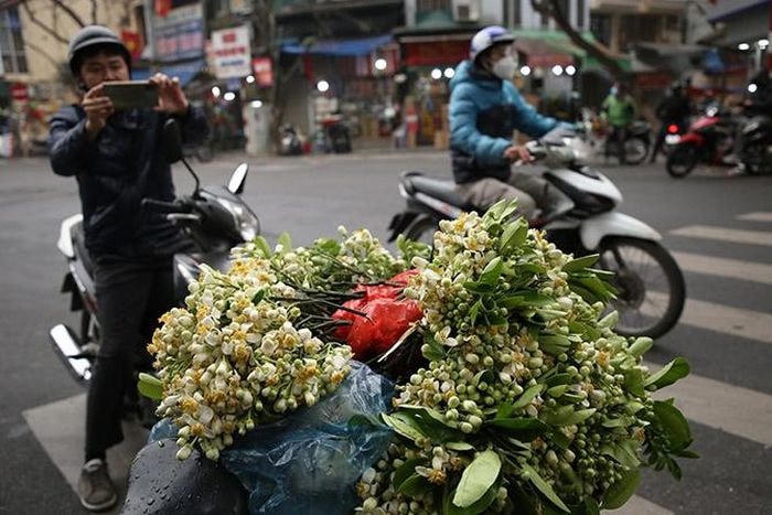 ...và dường như ai cũng muốn lưu giữ cho mình một chút dịu dàng trong mùa hoa trắng.