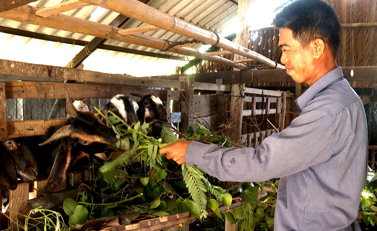 Nhiều mô hình giúp người dân thoát nghèo bền vững.